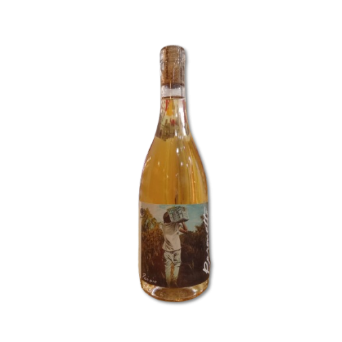 Baronetto Grillo Barone Sergio