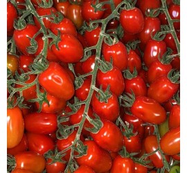 Pomodoro Datterino Rosso- Verdurazon.it, ortaggi siciliani online
