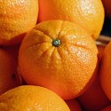 Bio Sicilian Navel Oranges
