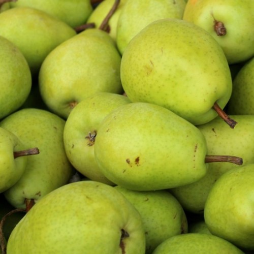 ARANCE NAVEL