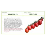 SEMI DI POMODORO MIDI-PLUM