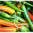 peperoncini