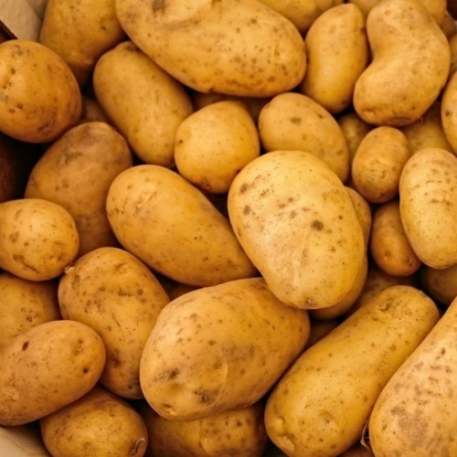 aglio bianco